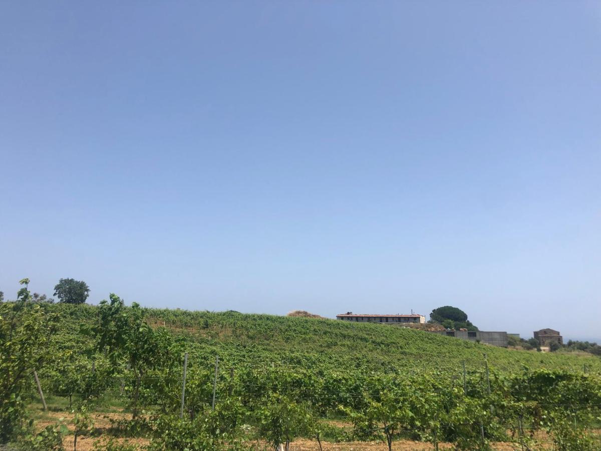 Agriturismo Donna Germana Cirò Marina Eksteriør billede